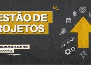 Gestão de Projetos em Organizações sem Fins Lucrativos [2024]